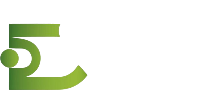 Domtom Connect Logo